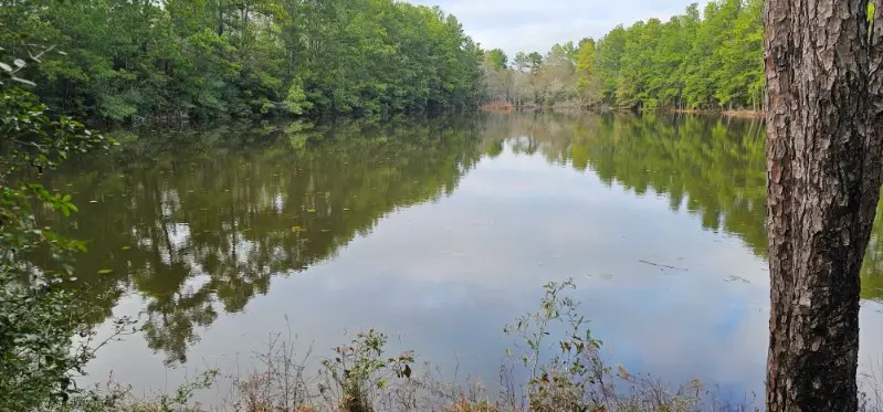 30569 Lake Rd, Waller, TX 77484 - #1