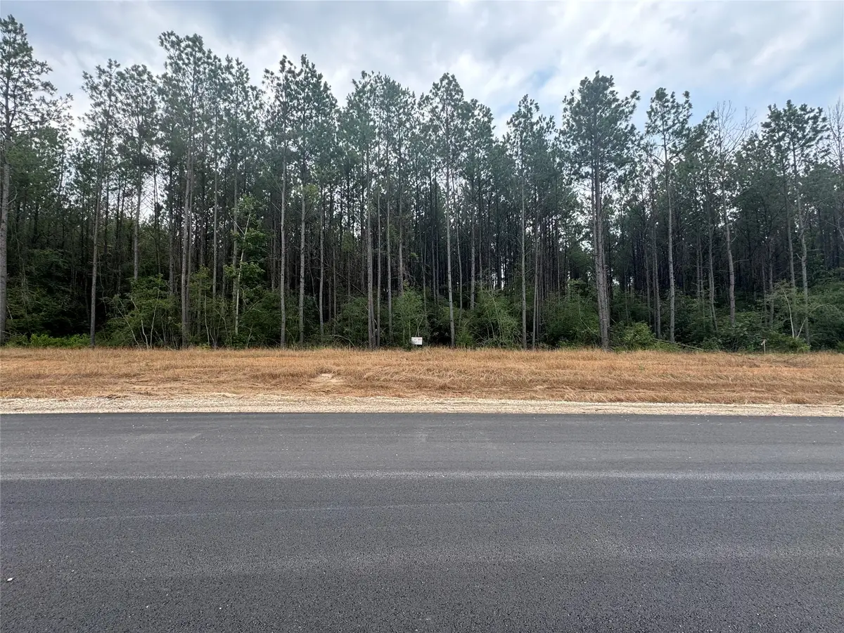 10634 Forest Mill Road, Willis, TX 77378 - #1
