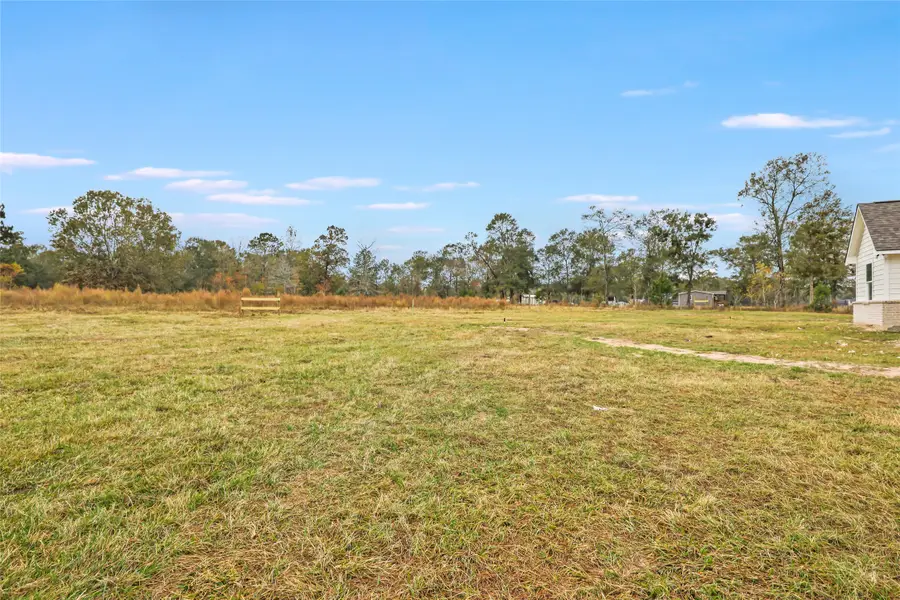 25154 Blackburn Drive, Splendora, TX 77372 - #2