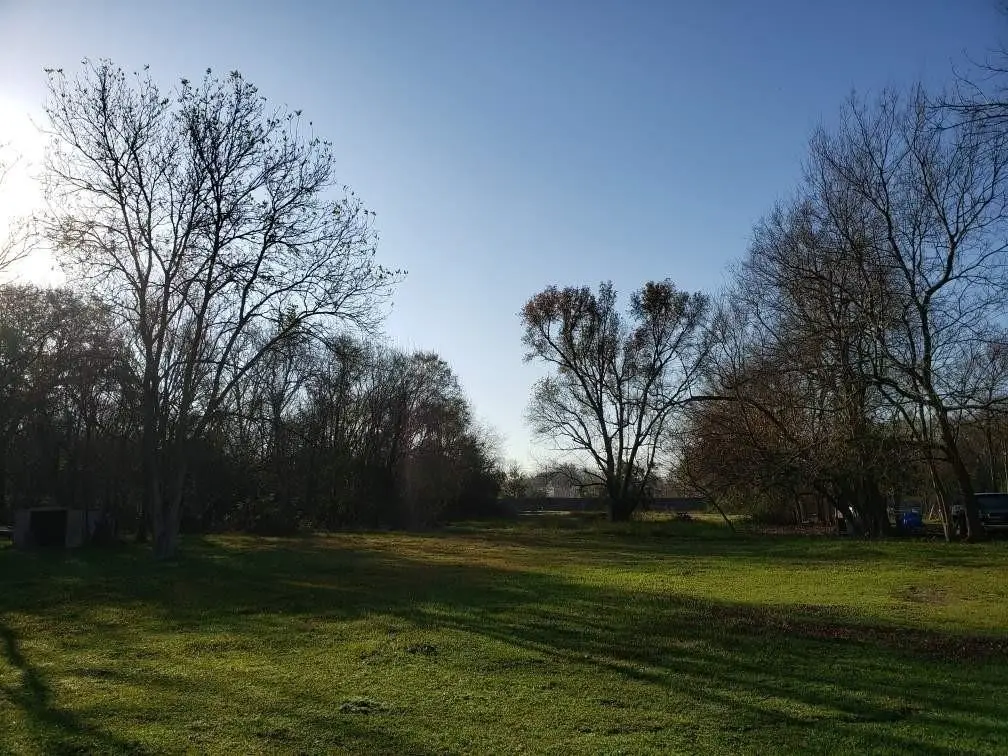 8106 Betty Boop Street, Houston, TX 77028 - #1