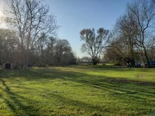 8106 Betty Boop Street, Houston, TX 77028 - #2