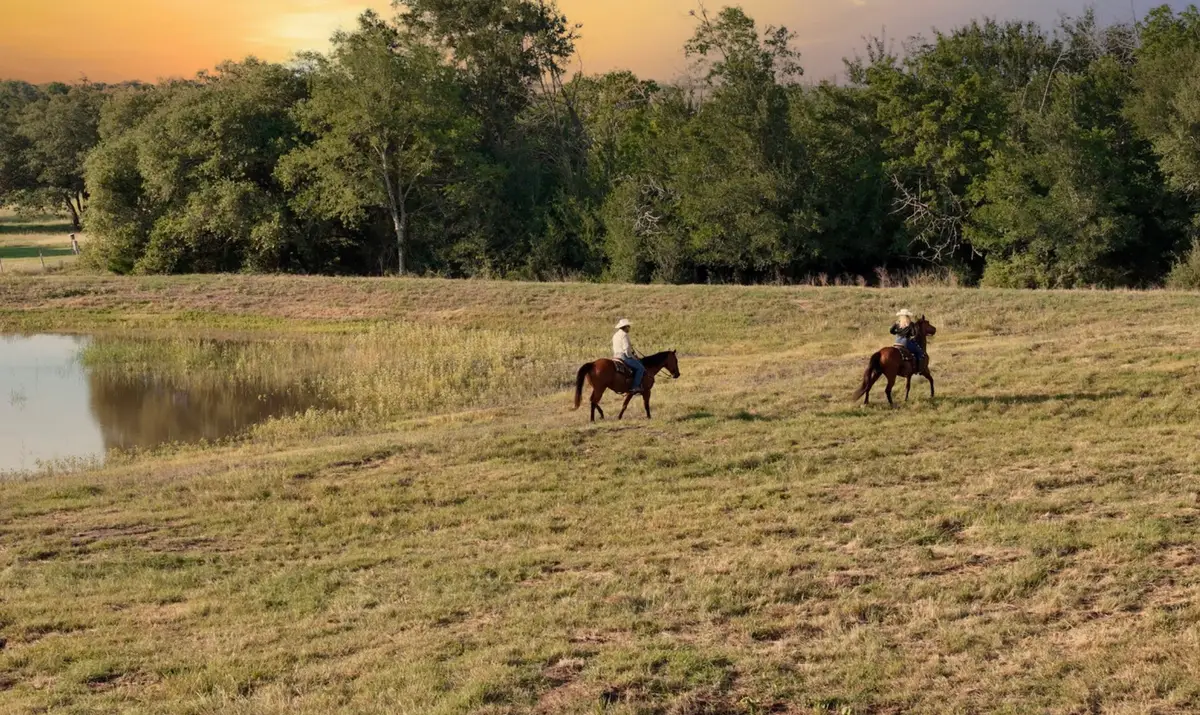 4 Round Top Farms Drive, Round Top, TX 78954 - #1