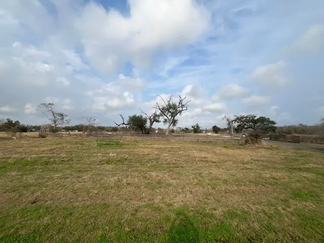 4928 County Road 819, Brazoria, TX 77422 - #3