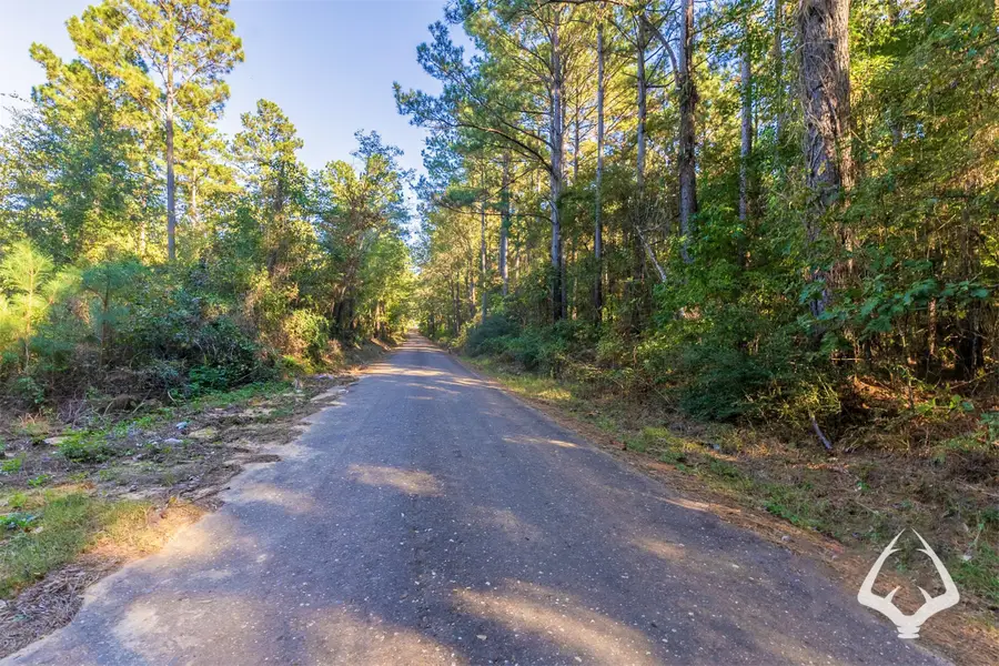 00 County Road 3250, Mount Enterprise, TX 75681 - #3