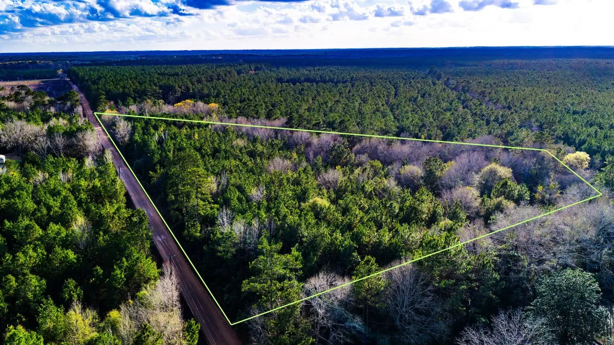 000 Holly Grove Road, Livingston, TX 77351 - #1