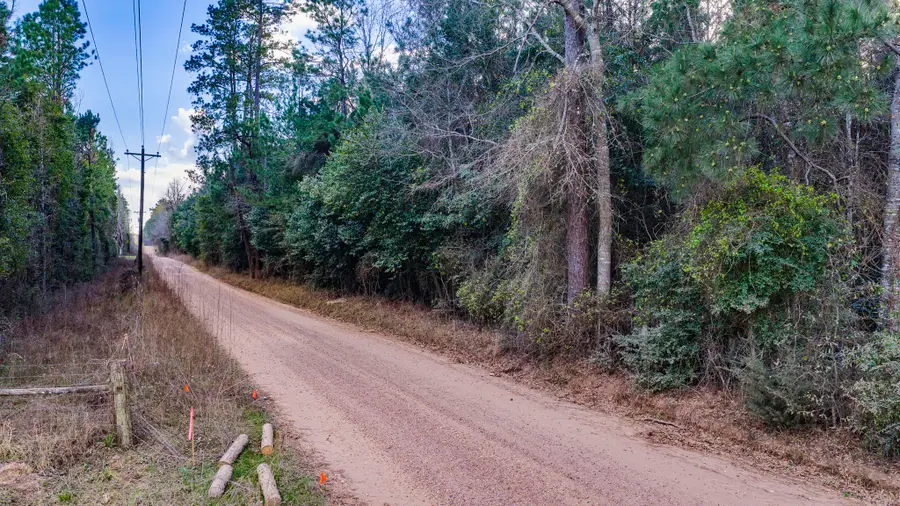 000 Holly Grove Road, Livingston, TX 77351 - #2