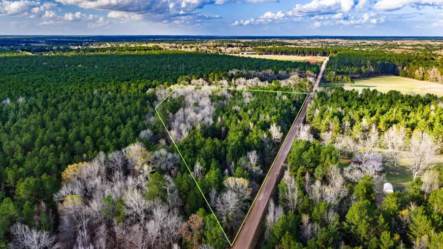 000 Holly Grove Road, Livingston, TX 77351 - #3