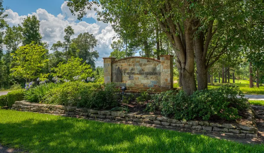 142 S Royale Greens Drive, Coldspring, TX 77331 - Image #3