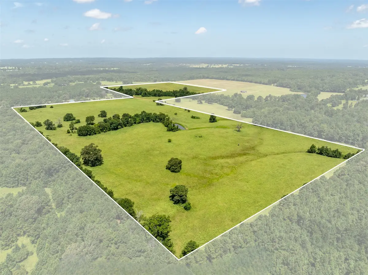 1044 Acr 379, Palestine, TX 75801 - #1