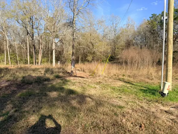 306 Indian Oaks, Livingston, TX 77351