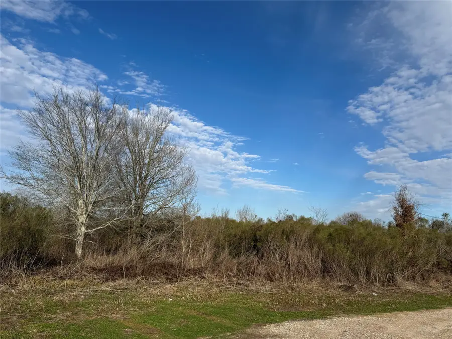 00 Chapman Road, Beasley, TX 77417 - #3