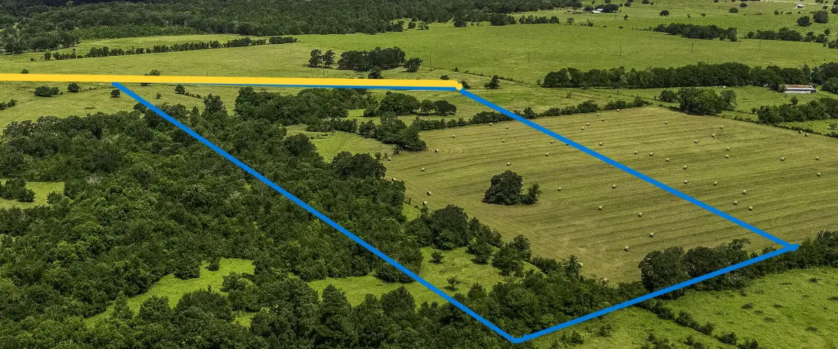10265 Fm 1774 Tract B1, Plantersville, TX 77363 - #1