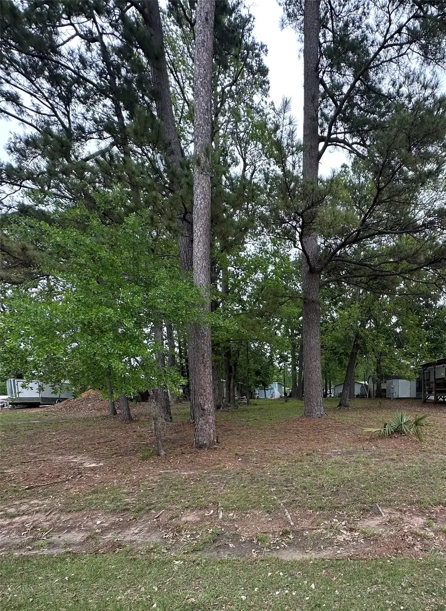 180 Holly Trail, Trinity, TX 75862 - #2