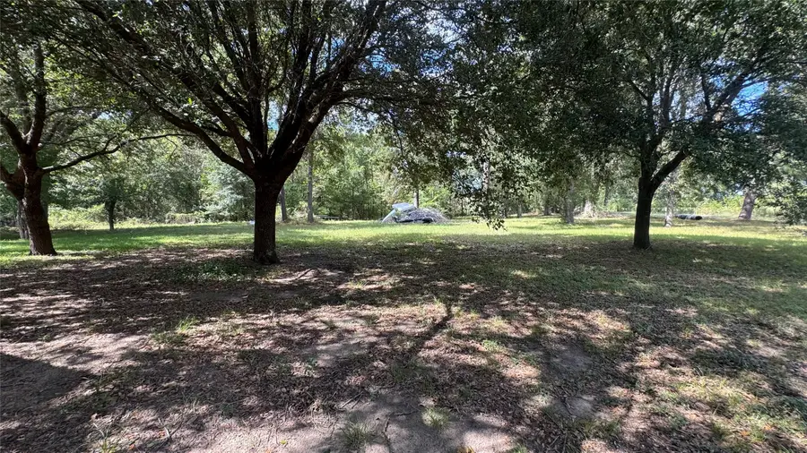 28 T Carter Road, Huntsville, TX 77340 - #2
