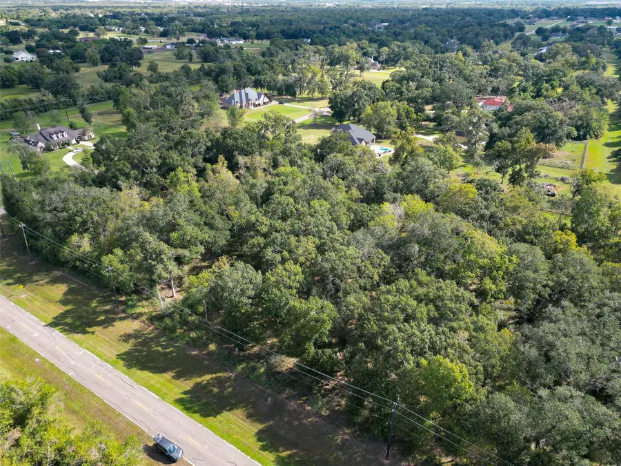17227 Hamill Drive, Rosharon, TX 77583 - #3