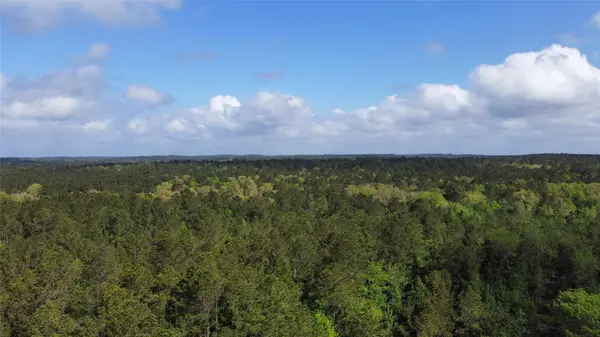 1648 Timber Road 23 N, Chester, TX 75936