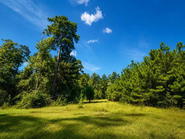 15881 Wood Grove Way, Willis, TX 77378
