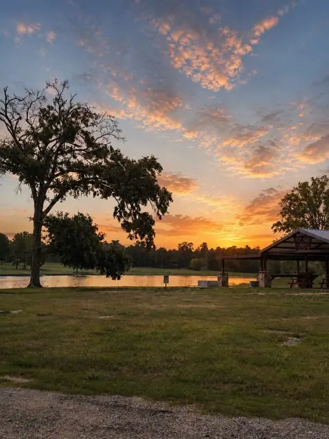 15881 Wood Grove Way, Willis, TX 77378 - #3