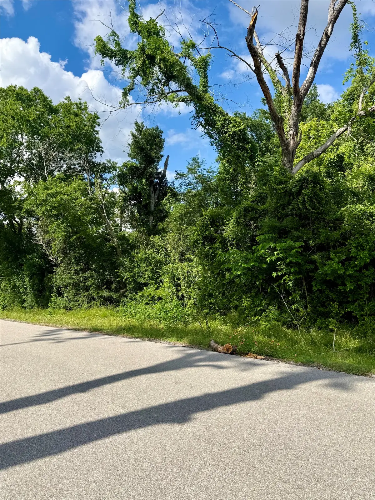 13650 Salt Grass Trail Lot 106, Cypress, TX 77429 - #1