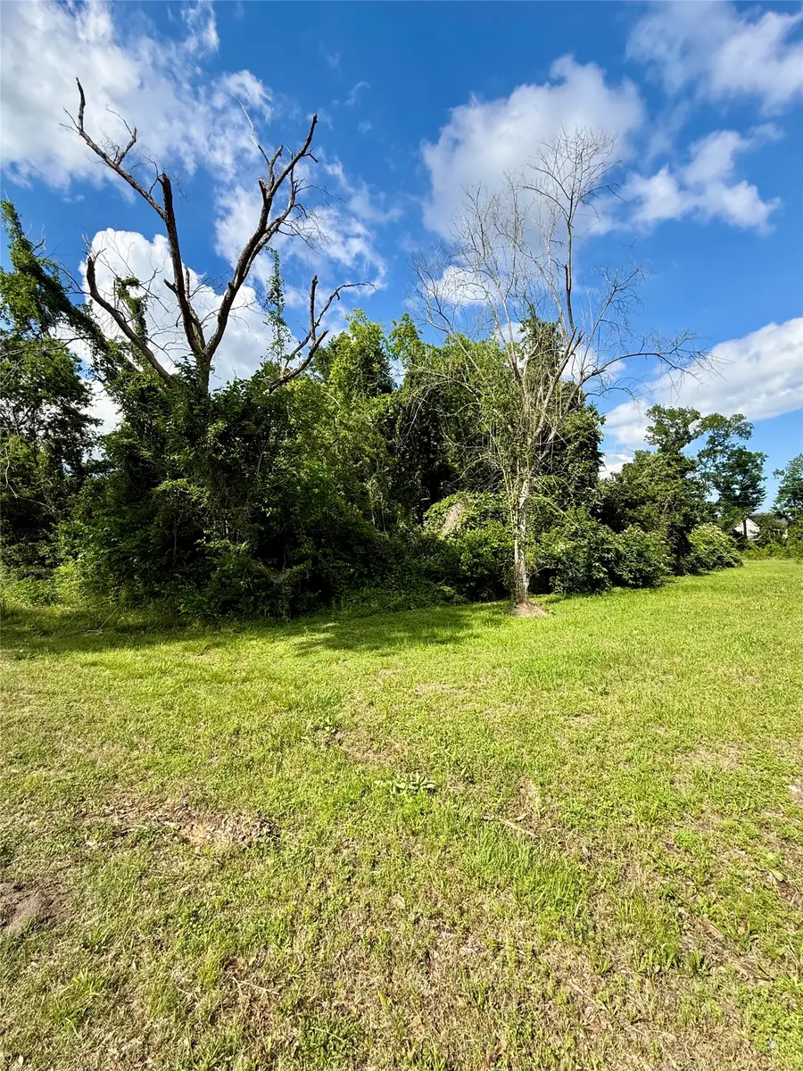 13650 Salt Grass Trail Lot 106, Cypress, TX 77429 - #3