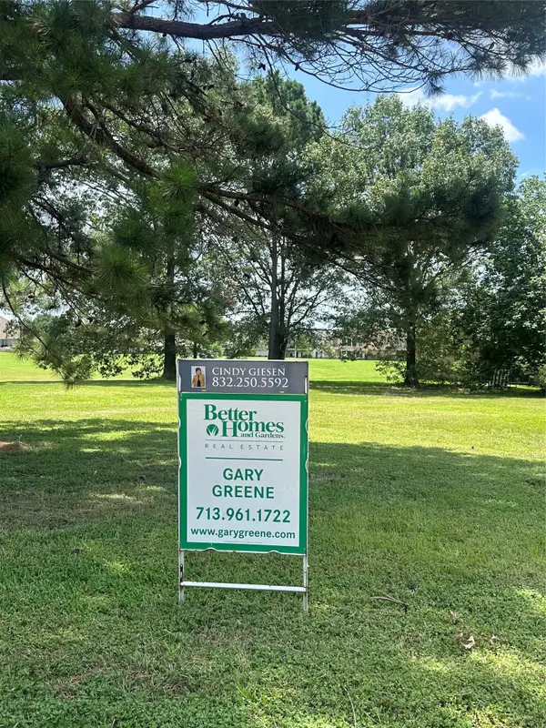 203 Sunnyvale E, Montgomery, TX 77356