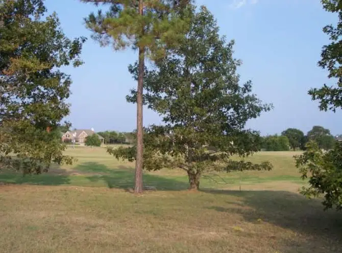 203 Sunnyvale E, Montgomery, TX 77356 - #3