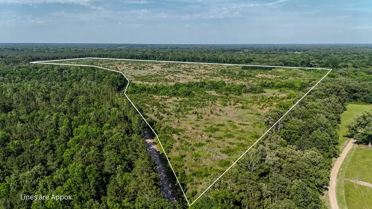 County Road 4621, Annona, TX 75550 - #1