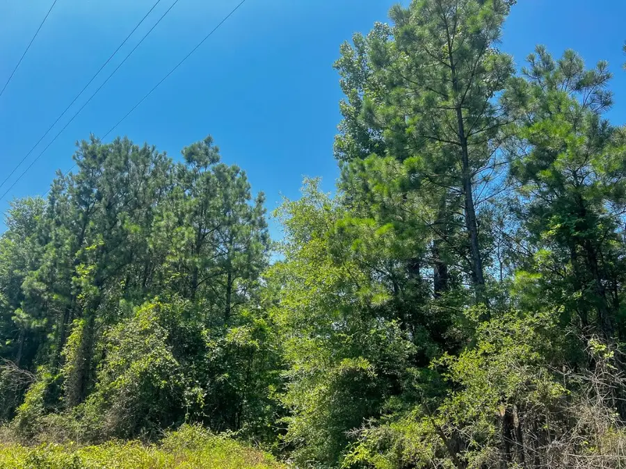 06 Bayou Road, Milam, TX 75948 - #2