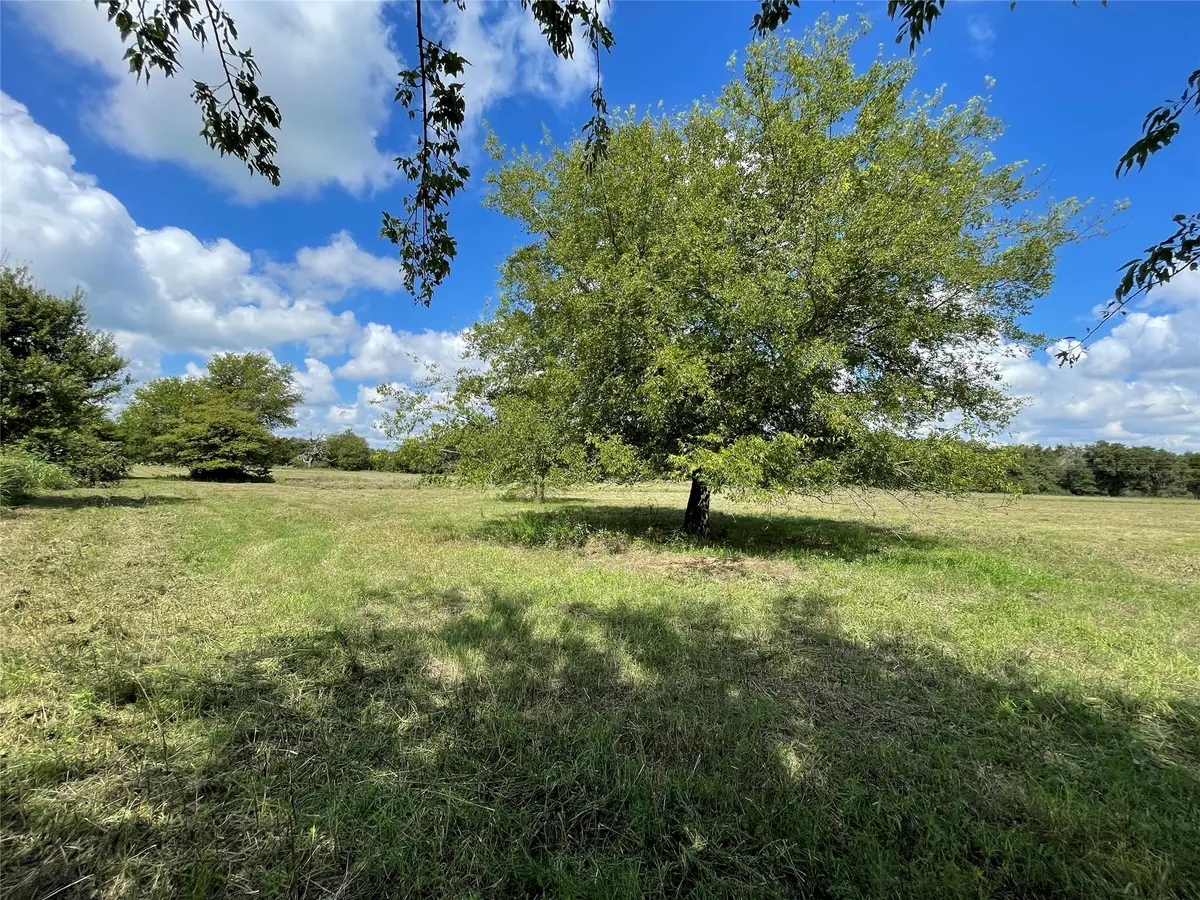 625 Fm 80, Teague, TX 75860 - #1