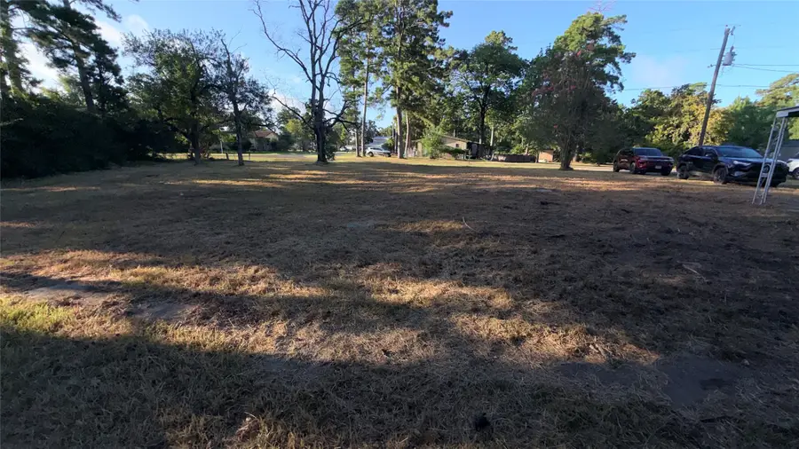 192 Cottonwood, Onalaska, TX 77360 - #3