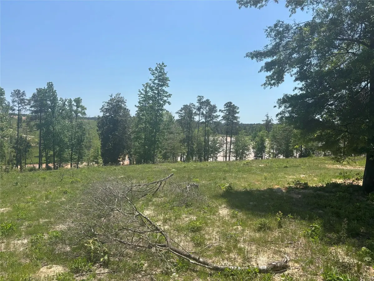 142 Dove Hill Circle, Livingston, TX 77351 - #1