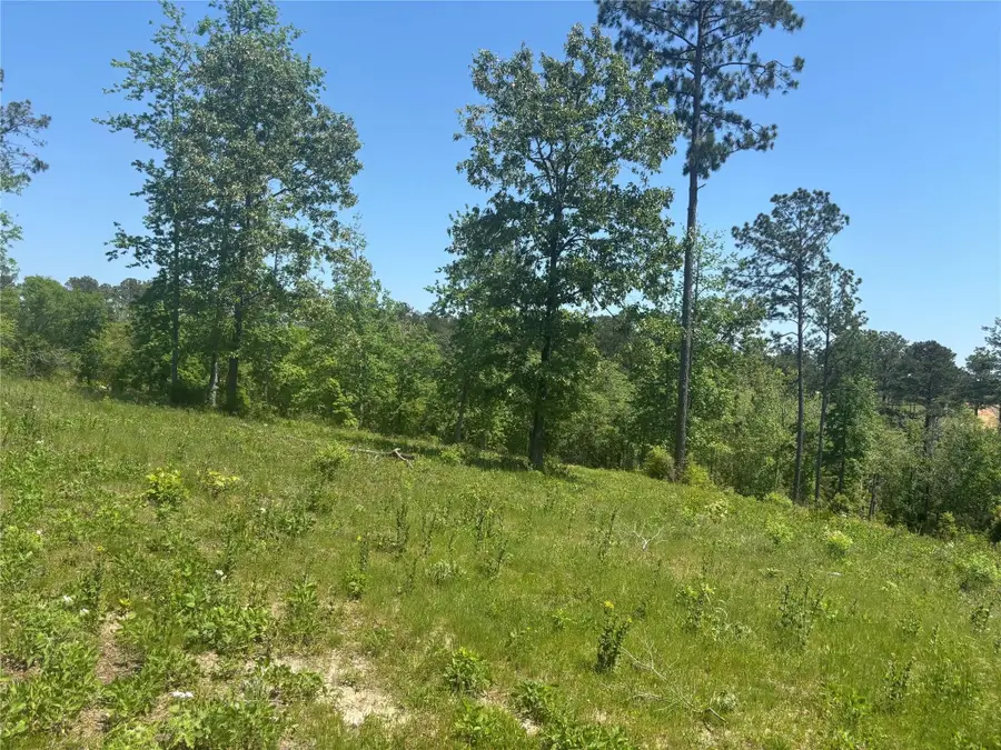 142 Dove Hill Circle, Livingston, TX 77351 - #2
