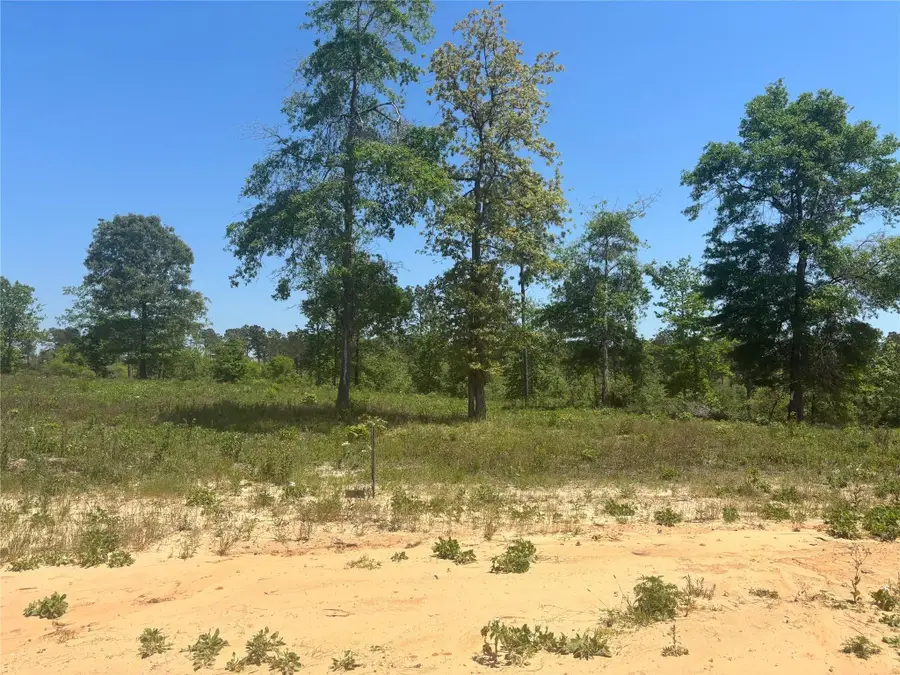 142 Dove Hill Circle, Livingston, TX 77351 - #3