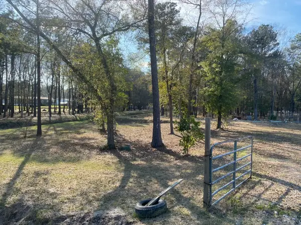 23859 Mydas Fly Lane, New Caney, TX 77357