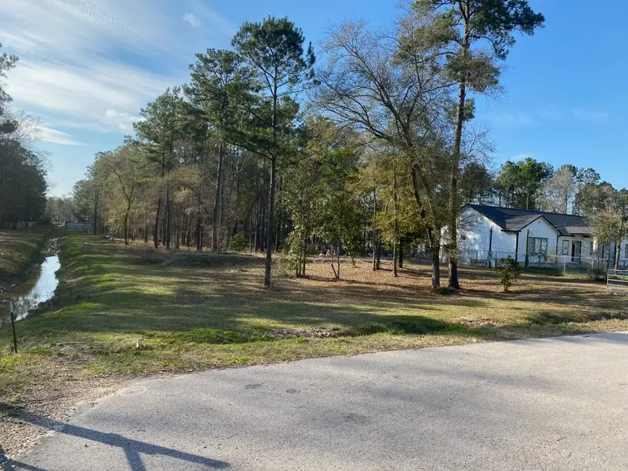 23859 Mydas Fly Lane, New Caney, TX 77357 - #3
