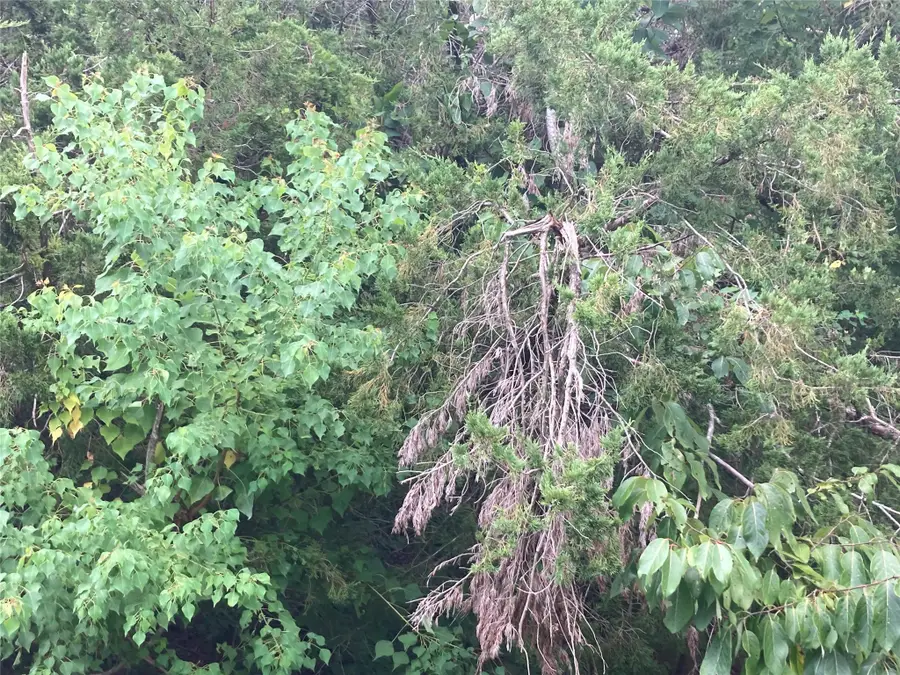 206 Arcadian Drive, Crosby, TX 77532 - #2