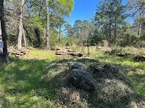 3310 Wilderness Way, Montgomery, TX 77316 - #3