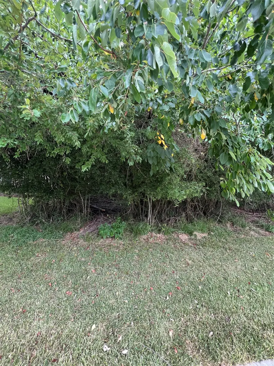 12115 Hawthorne Drive, Montgomery, TX 77356 - #2
