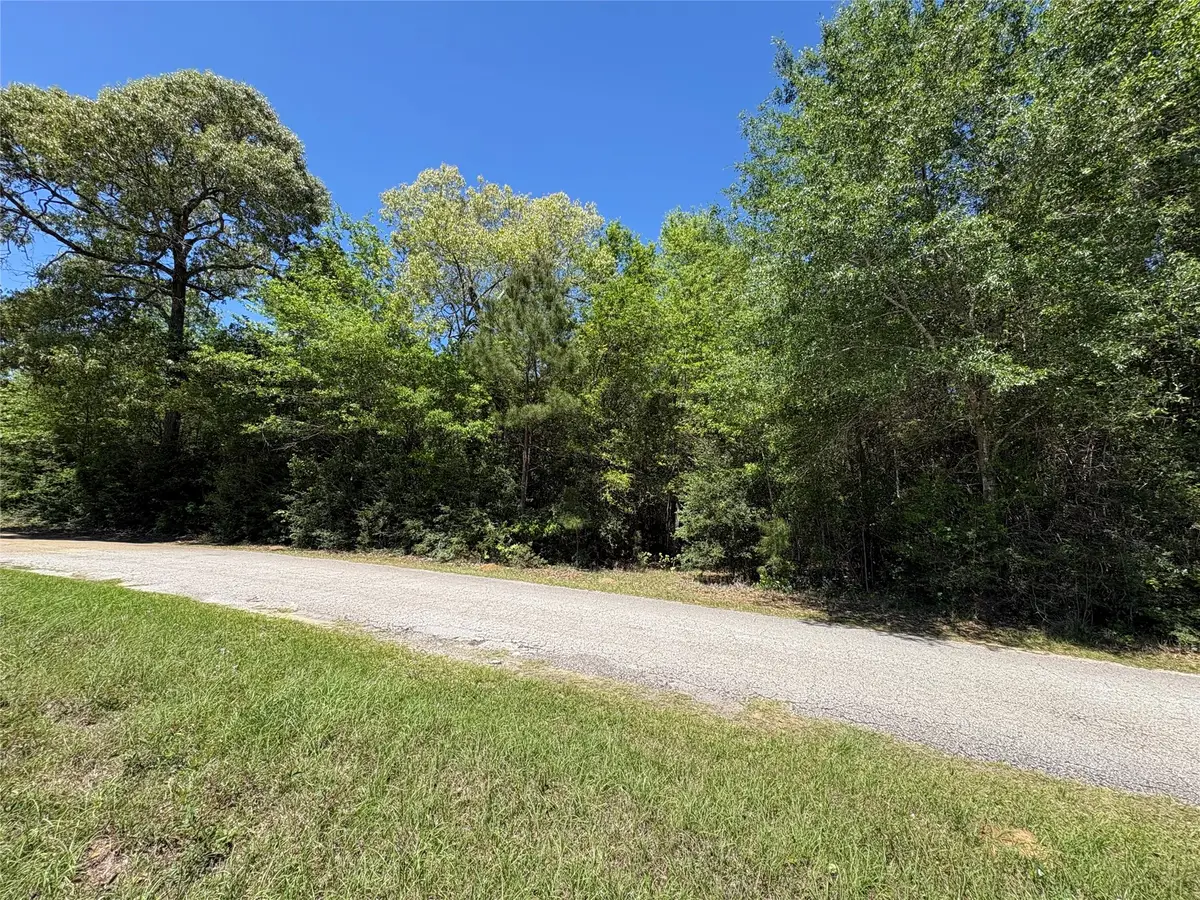 000 E Williford, Kountze, TX 77625 - #1