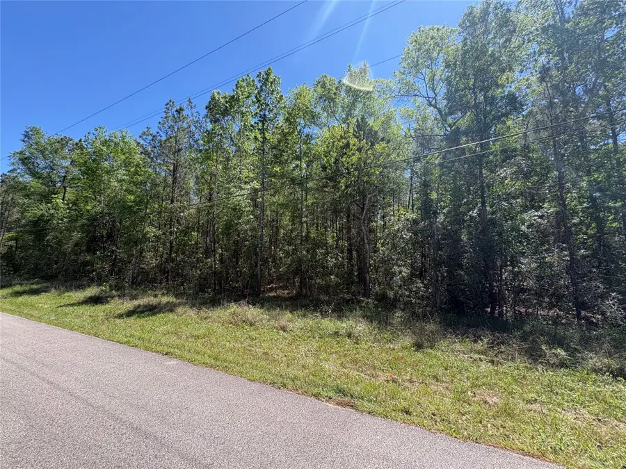 000 E Williford, Kountze, TX 77625 - #2