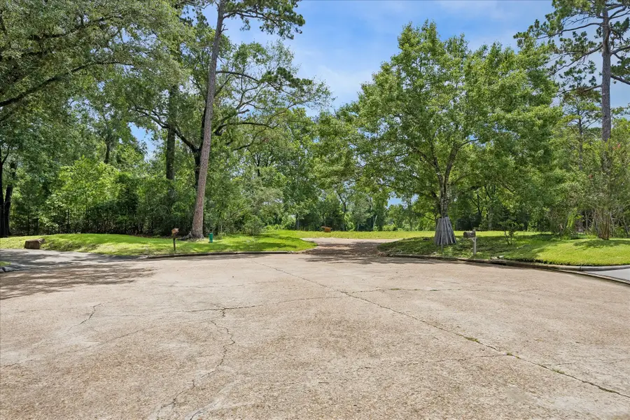 11103 Meadowick Drive, Houston, TX 77024 - #3