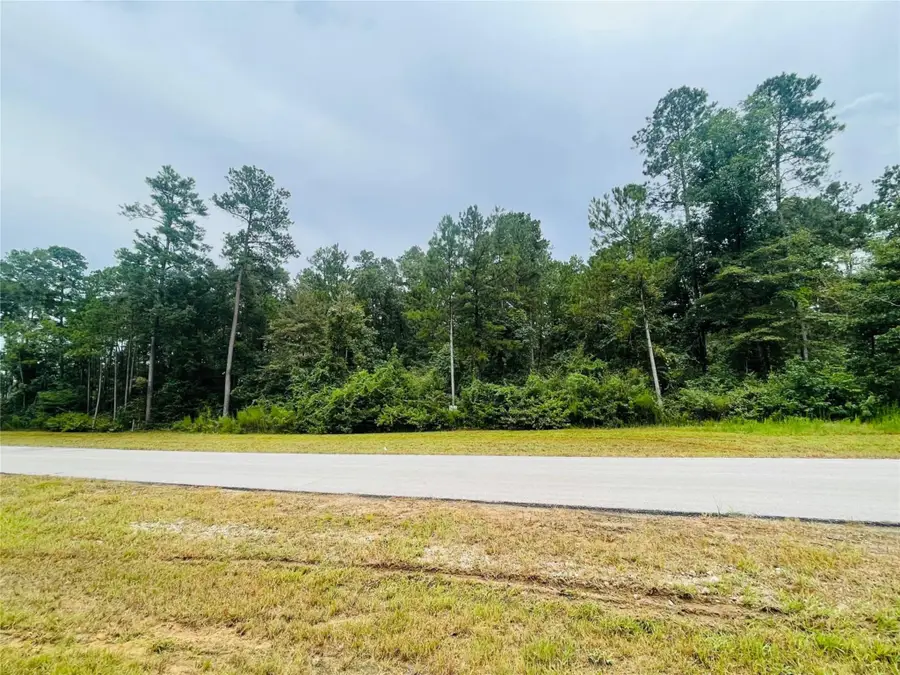 15591 Wood Grove Way, Willis, TX 77378 - #3
