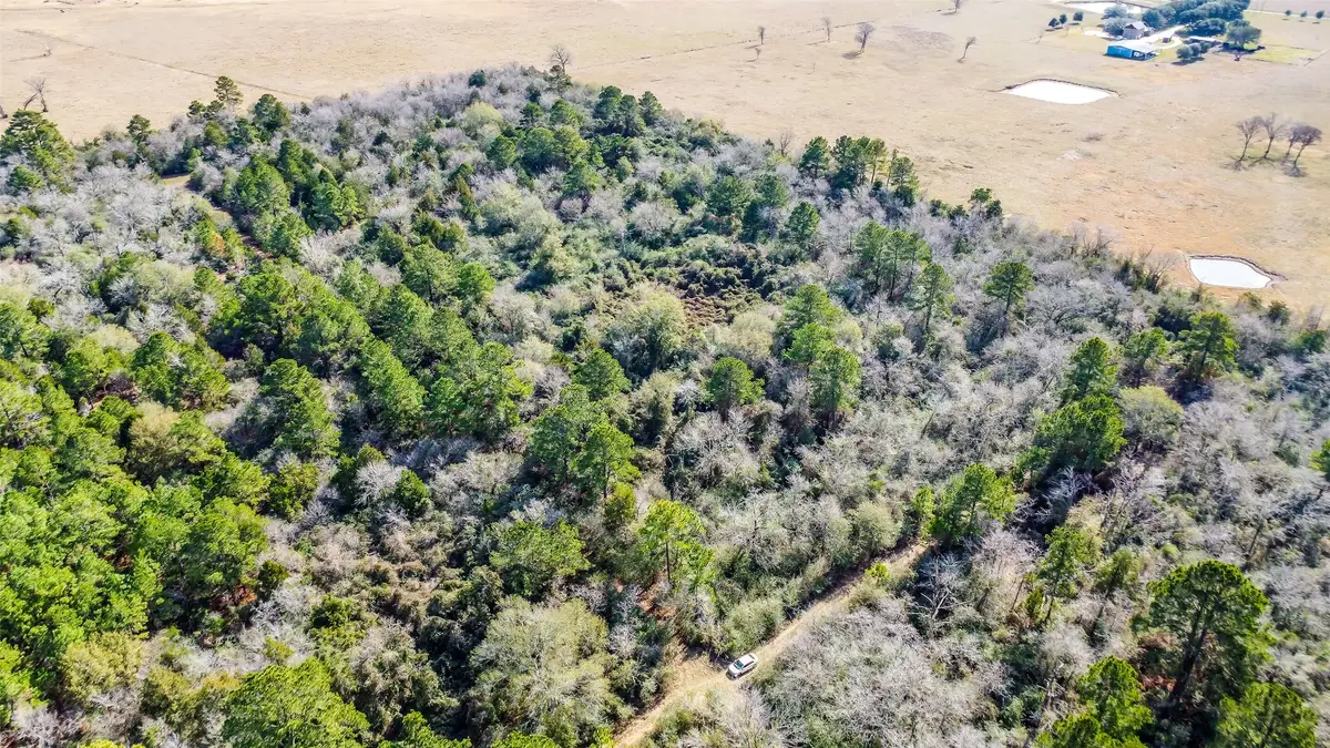 17625 Falcon Lane, Hempstead, TX 77445 - Image #1