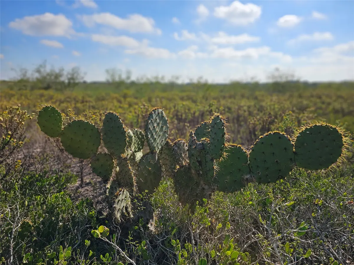 0 San Jose Ranch Road, San Benito, TX 78586 - Image #1