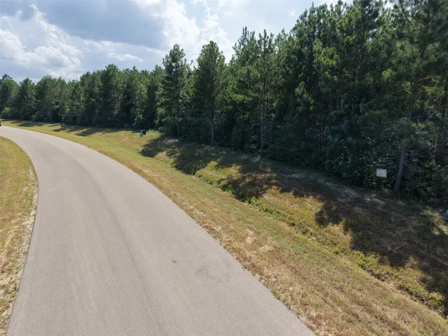 15785 Woodlife Road, Willis, TX 77378 - #2