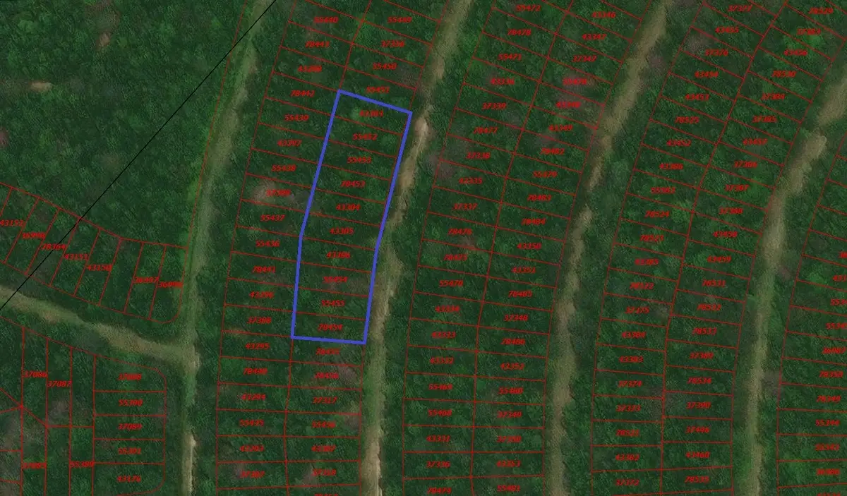 TBD Wood Forest, Livingston, TX 77351 - #1