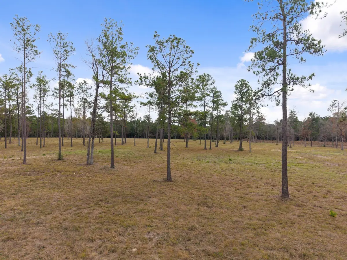 TBD LOT 4 Fm 3152 Road, Livingston, TX 77351 - Image #1
