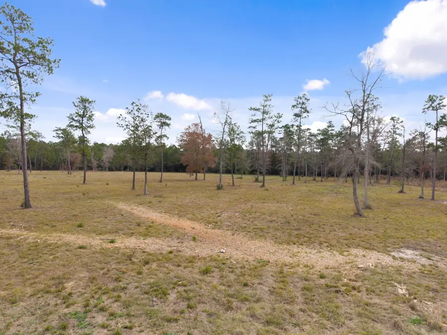 TBD LOT 4 Fm 3152 Road, Livingston, TX 77351 - Image #3