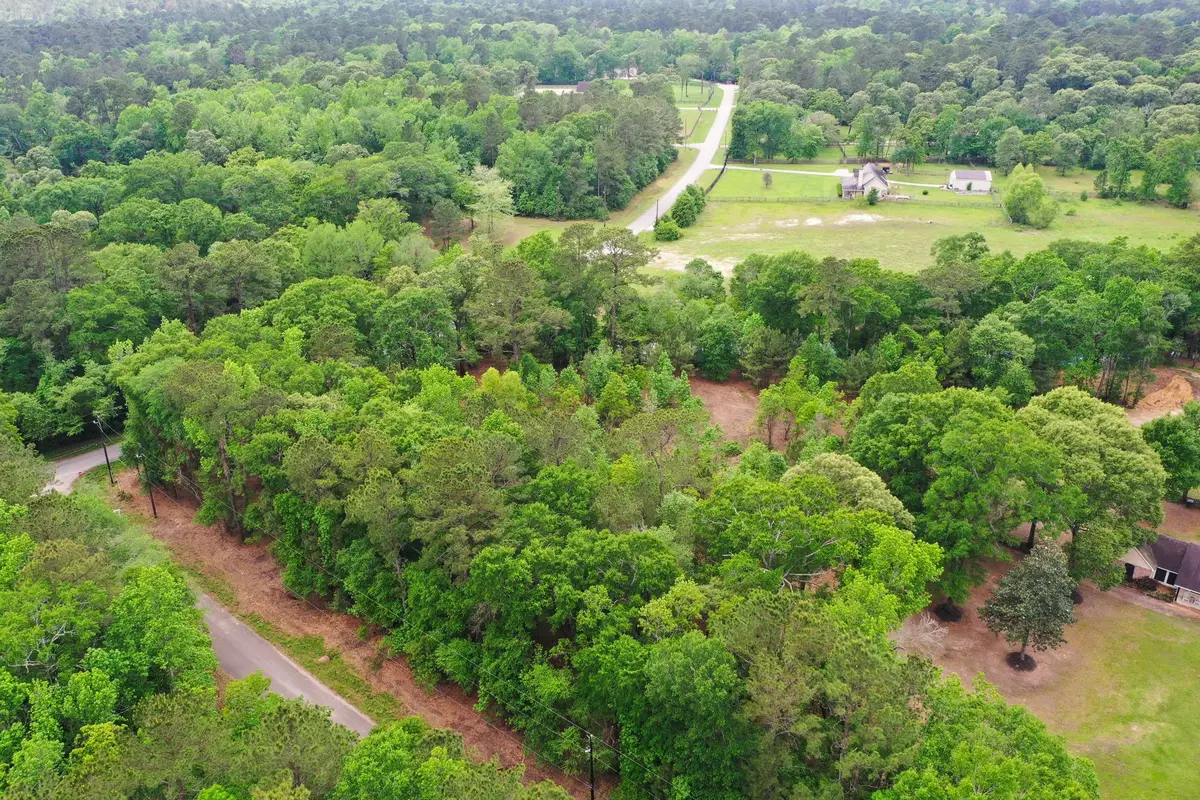 0 Daniel Street, Magnolia, TX 77354 - #1