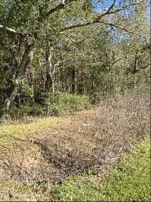 0 Bell Road, Batson, TX 77519 - Image #3